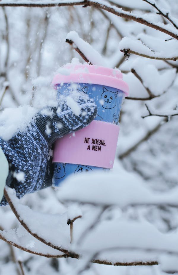 Top 5 tasses isothermes pour vos boissons à emporter